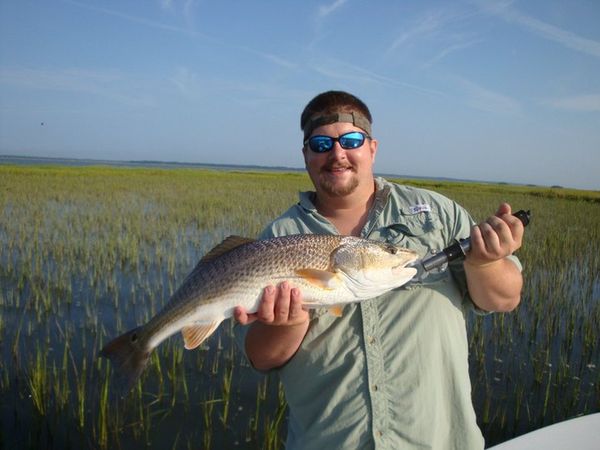 Fishing charter catch near Harris Neck National Wildlife Refuge