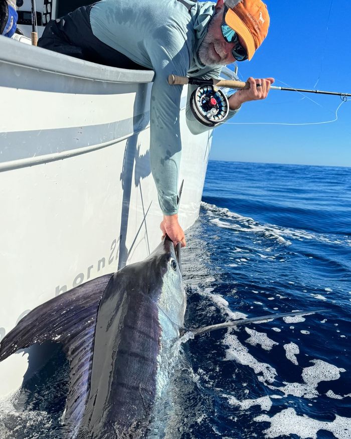 Marlin brought boatside on a fly rod