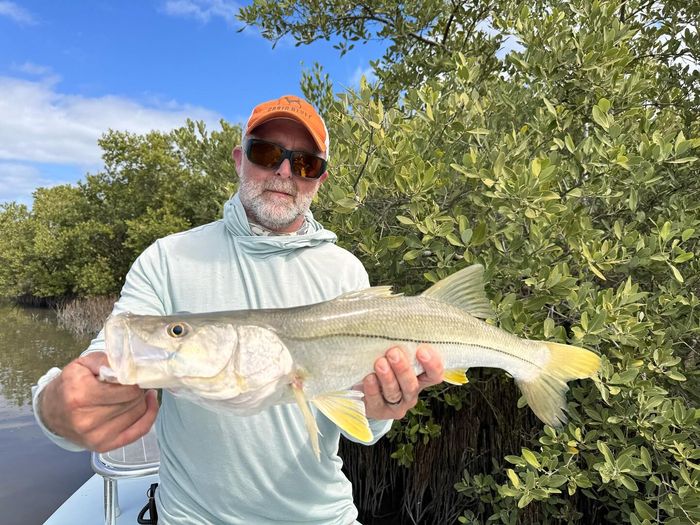 Angler holding a snook beside the mangroves