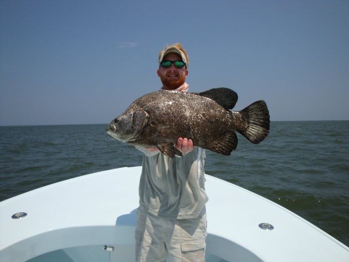 Angler holding a tripletail on the bow